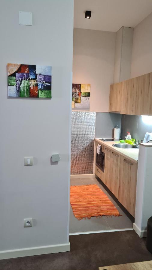 Apartman No1,Zupa Wellness & Spa Kopaonik Dış mekan fotoğraf